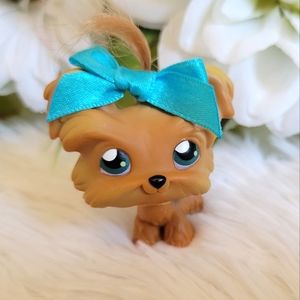Littlest Pet Shop LPS #6 Yorkie Dog Blue Bow Brown Yorkshire Terrier Blue Eyes